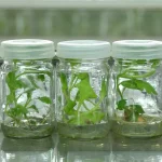 Water Soluble Packaging